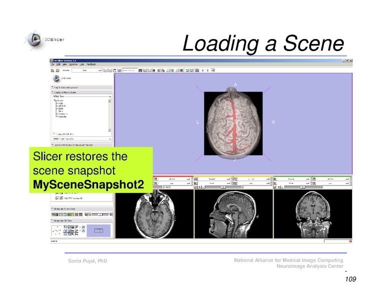 File:Slicer3Course DataLoadingAndVisualization SoniaPujol.pdf