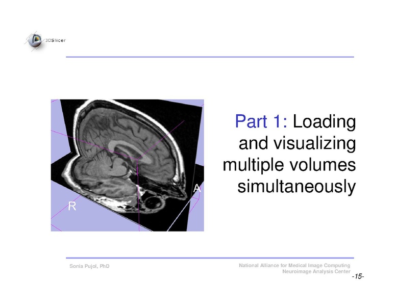 File:Slicer3Course DataLoadingAndVisualization SoniaPujol.pdf