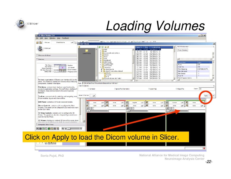 File:Slicer3Course DataLoadingAndVisualization SoniaPujol.pdf