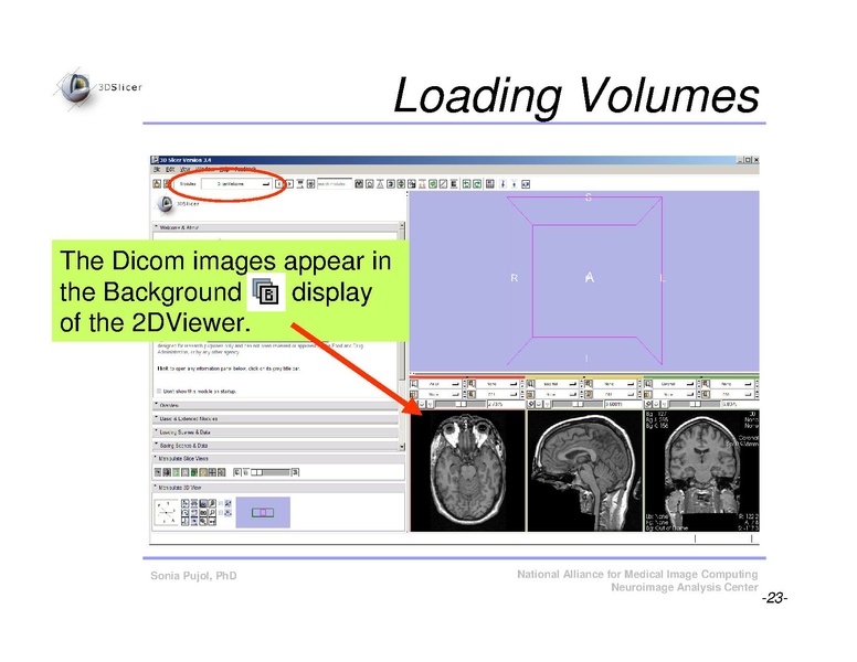 File:Slicer3Course DataLoadingAndVisualization SoniaPujol.pdf