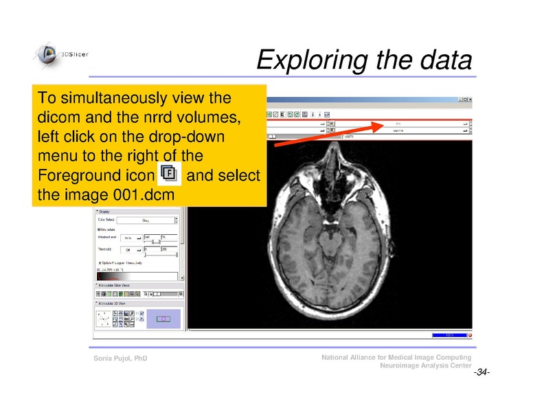 File:Slicer3Course DataLoadingAndVisualization SoniaPujol.pdf