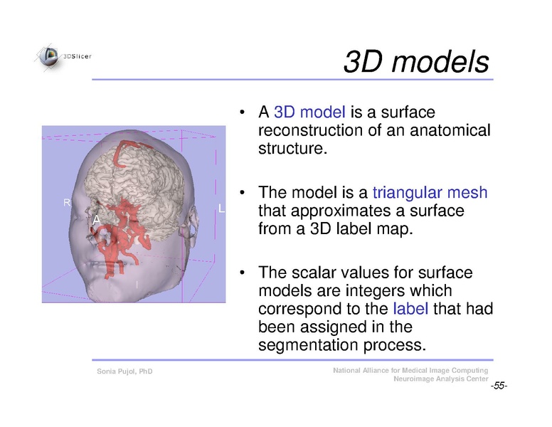 File:Slicer3Course DataLoadingAndVisualization SoniaPujol.pdf
