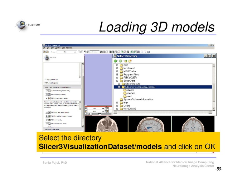 File:Slicer3Course DataLoadingAndVisualization SoniaPujol.pdf