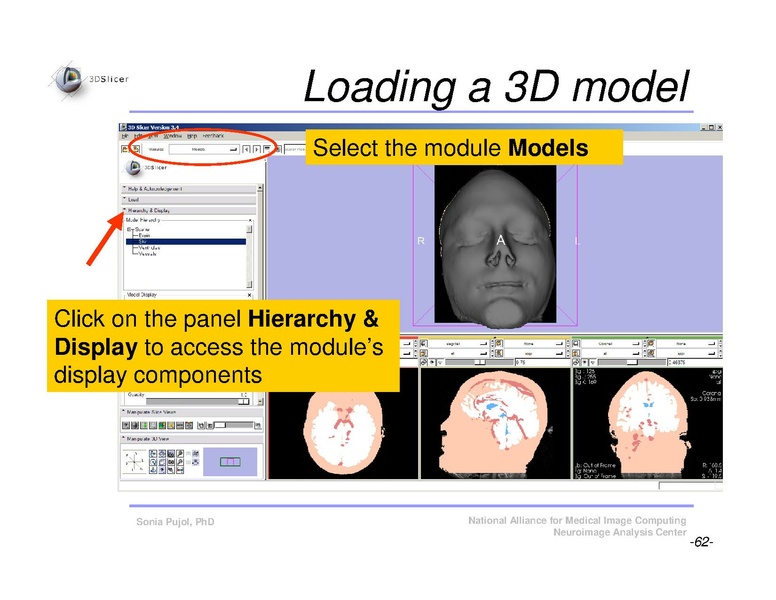 File:Slicer3Course DataLoadingAndVisualization SoniaPujol.pdf