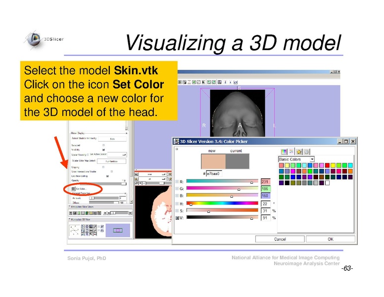 File:Slicer3Course DataLoadingAndVisualization SoniaPujol.pdf