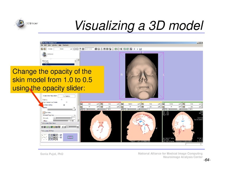 File:Slicer3Course DataLoadingAndVisualization SoniaPujol.pdf