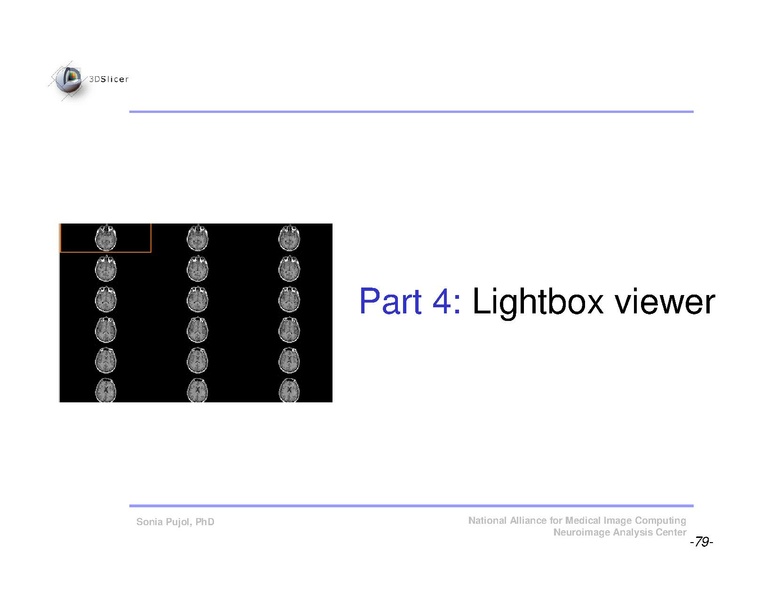 File:Slicer3Course DataLoadingAndVisualization SoniaPujol.pdf