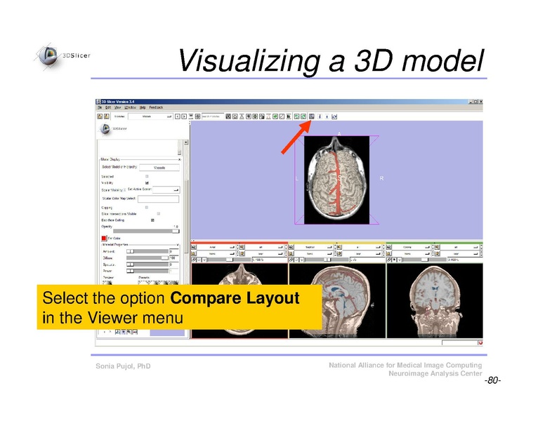 File:Slicer3Course DataLoadingAndVisualization SoniaPujol.pdf