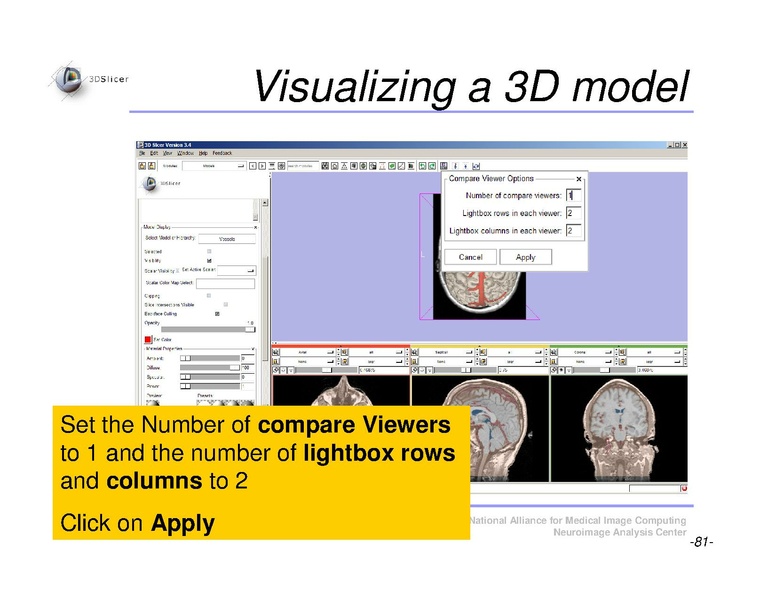 File:Slicer3Course DataLoadingAndVisualization SoniaPujol.pdf