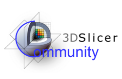 3DSlicerCommunity.PNG