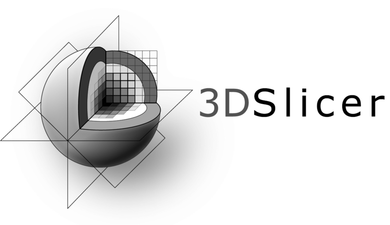 File:3DSlicerLogo-H-Mono-1273x737.png