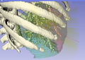 Thumbnail for version as of 10:32, 25 July 2014