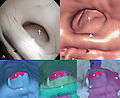Thumbnail for version as of 17:06, 15 January 2013