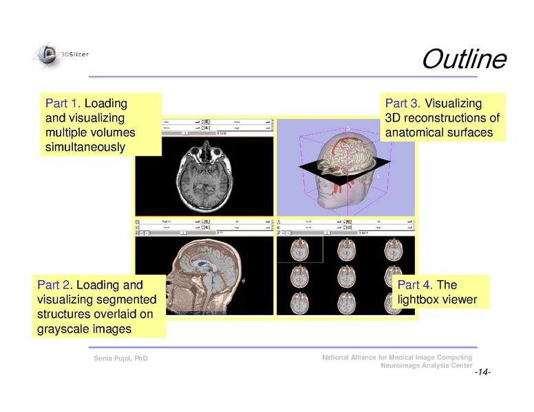 File:Slicer3Course DataLoadingAndVisualization SoniaPujol-DRAFT.pdf