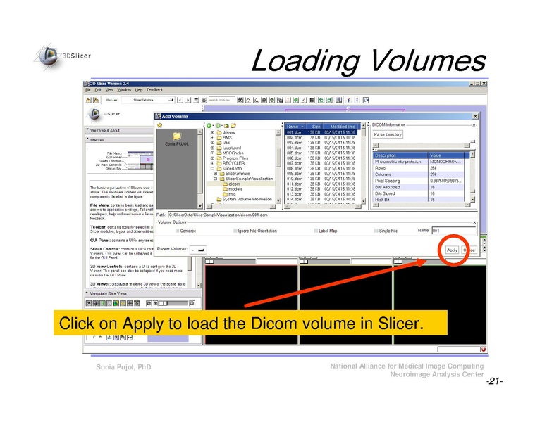 File:Slicer3Course DataLoadingAndVisualization SoniaPujol-DRAFT.pdf