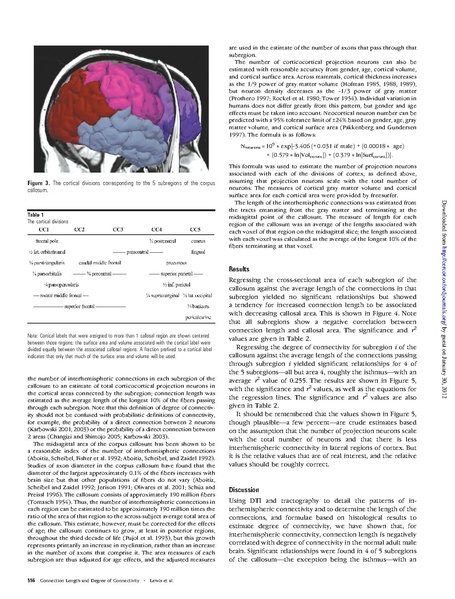 File:Lewis-CerebCortex2009.pdf