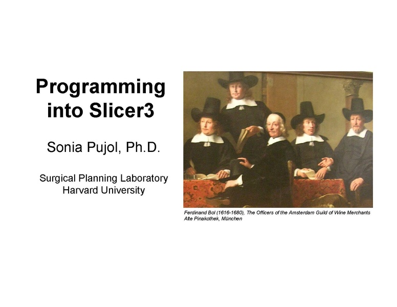 File:ProgrammingIntoSlicer3 SoniaPujol-draft.pdf