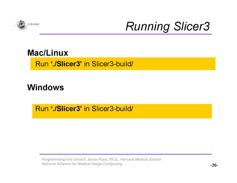 File:ProgrammingIntoSlicer3 SoniaPujol-draft.pdf