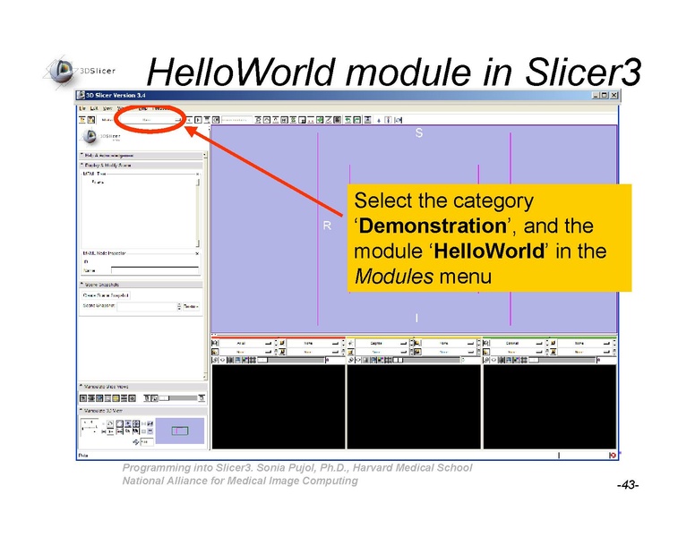 File:ProgrammingIntoSlicer3 SoniaPujol-draft.pdf