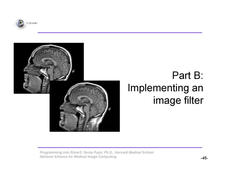 File:ProgrammingIntoSlicer3 SoniaPujol-draft.pdf