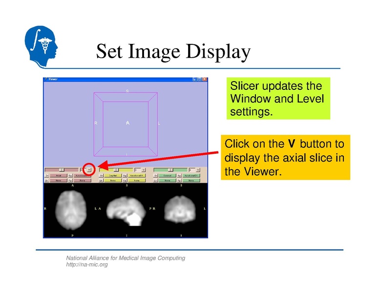 File:SlicerTraining5 fMRI.pdf