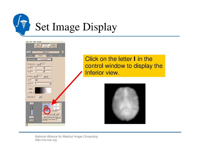 File:SlicerTraining5 fMRI.pdf