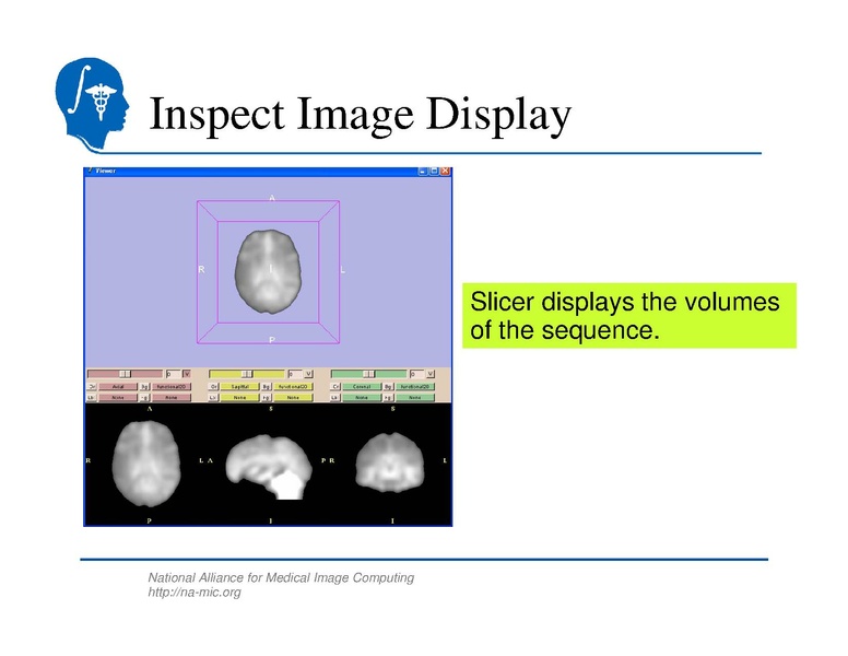 File:SlicerTraining5 fMRI.pdf