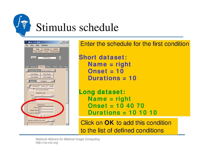 File:SlicerTraining5 fMRI.pdf