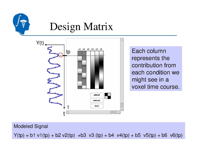 File:SlicerTraining5 fMRI.pdf