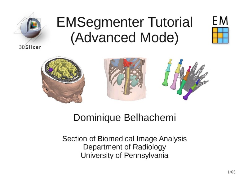File:EMSegmenterTutorialAdvancedMode-Slicer-3.6.3-1.pdf