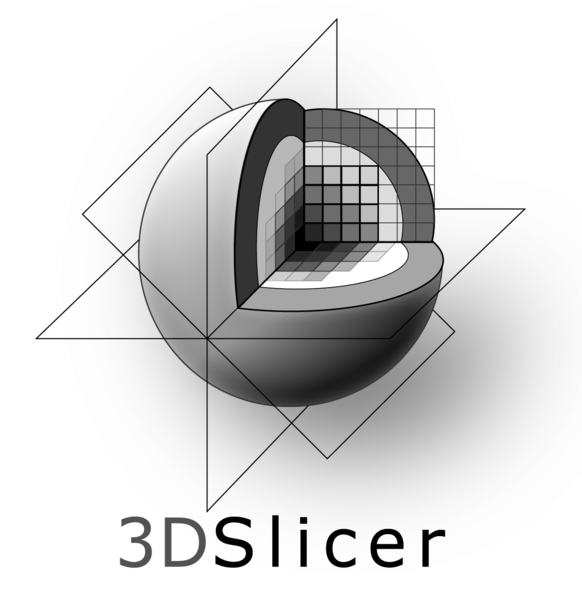 File:3DSlicerLogo-V-Mono-1195x1231.png
