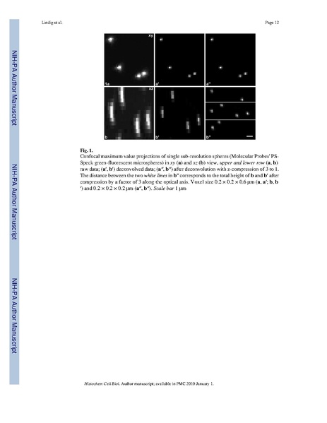 File:Lindig-HistochemCellBiol2009.pdf