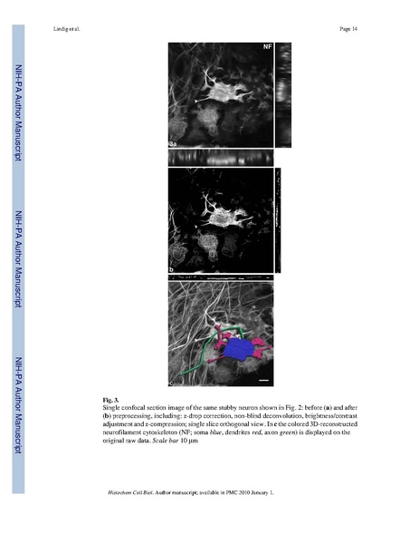 File:Lindig-HistochemCellBiol2009.pdf