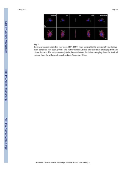 File:Lindig-HistochemCellBiol2009.pdf