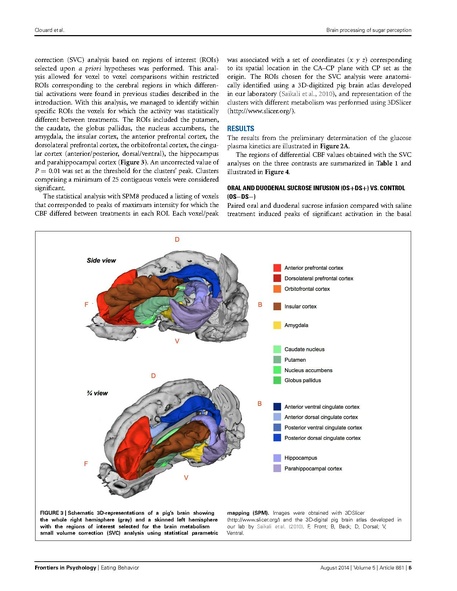 File:Clouard-FrontPsychol2014.pdf