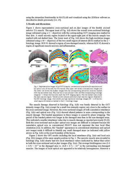 File:Wang-BiomedOptExpress2015.pdf
