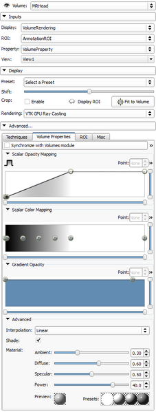 File:VolumeRenderingPanel.png