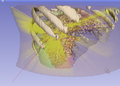 Thumbnail for version as of 10:26, 25 July 2014