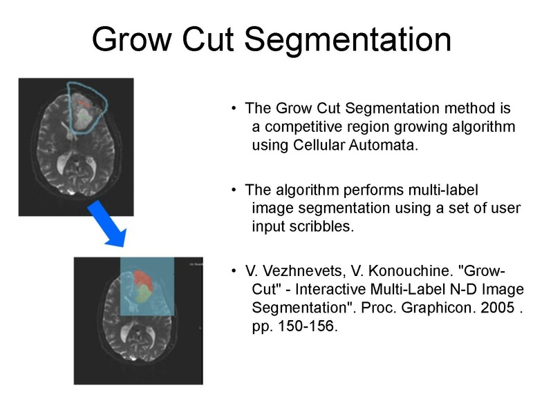 File:WhiteMatterExplorationTutorial SoniaPujol Slicer4.5.pdf