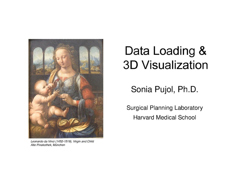 File:Slicer3Course DataLoading 3DVisualization SoniaPujol.pdf