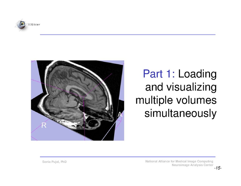File:Slicer3Course DataLoading 3DVisualization SoniaPujol.pdf