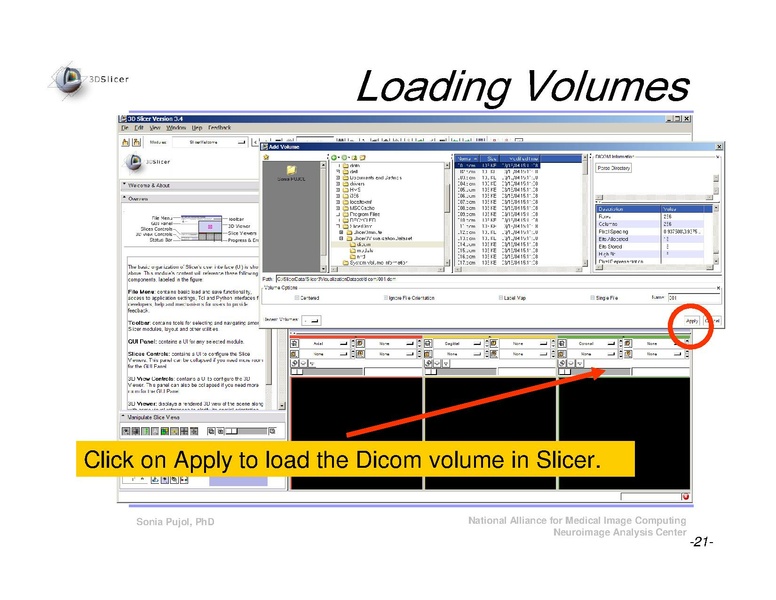 File:Slicer3Course DataLoading 3DVisualization SoniaPujol.pdf