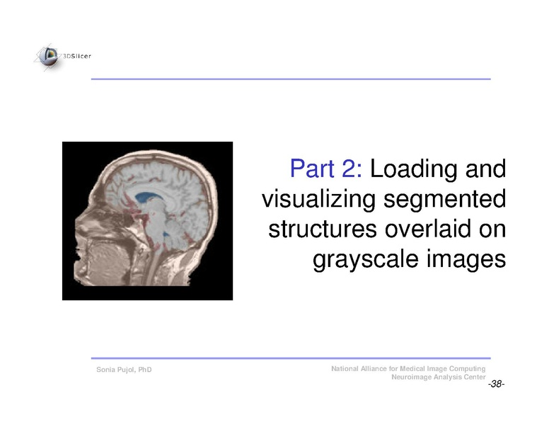 File:Slicer3Course DataLoading 3DVisualization SoniaPujol.pdf