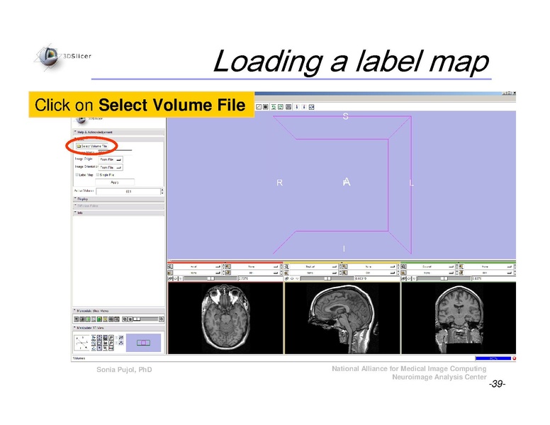 File:Slicer3Course DataLoading 3DVisualization SoniaPujol.pdf