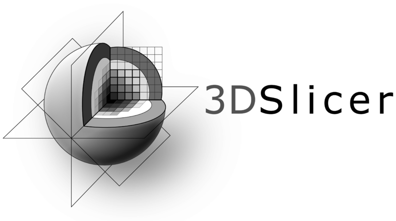 File:3DSlicerLogo-H-Mono-2546x1427.png
