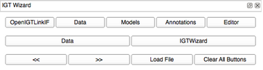 IGTWizard2.png
