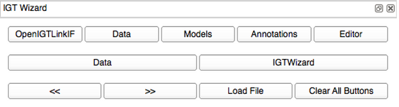 IGTWizard2.png
