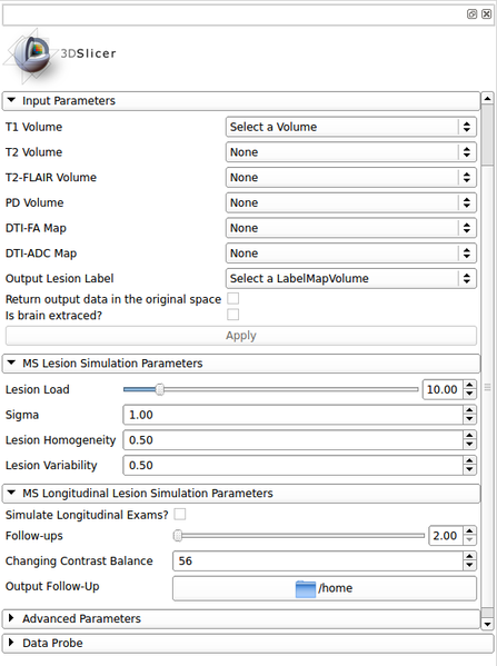 File:Mslesionsimulator gui.png
