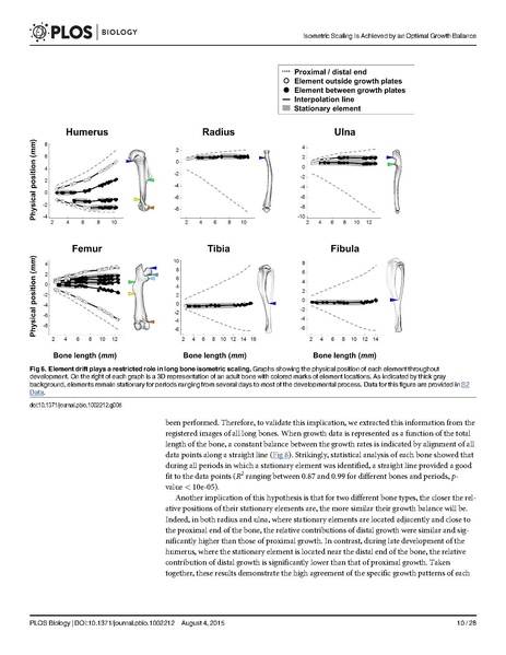 File:Stern-PLoSBiol2015.pdf