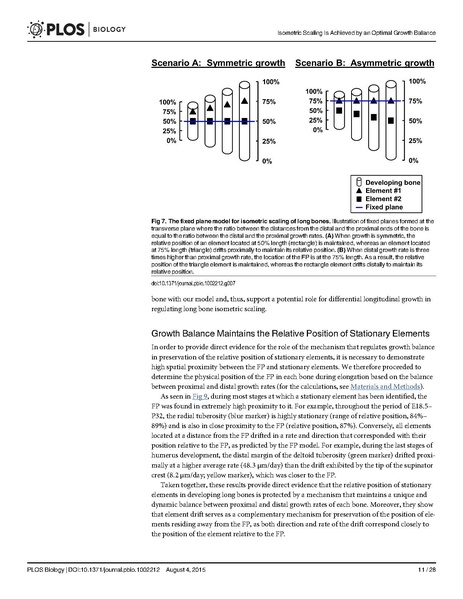 File:Stern-PLoSBiol2015.pdf